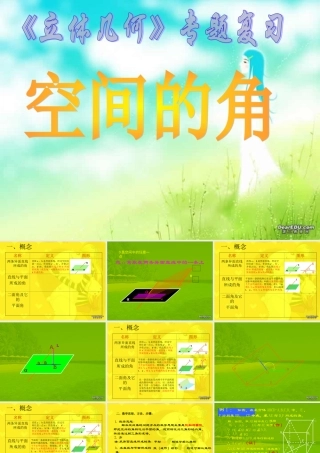 人教版立体几何复习专题讲座 空间的角 课件