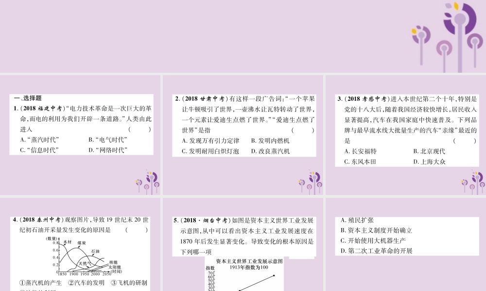 中考历史总复习 第一编 教材知识速查篇 模块三 世界近代史 第19讲 第二次工业革命和近代科学文化(精练)课件