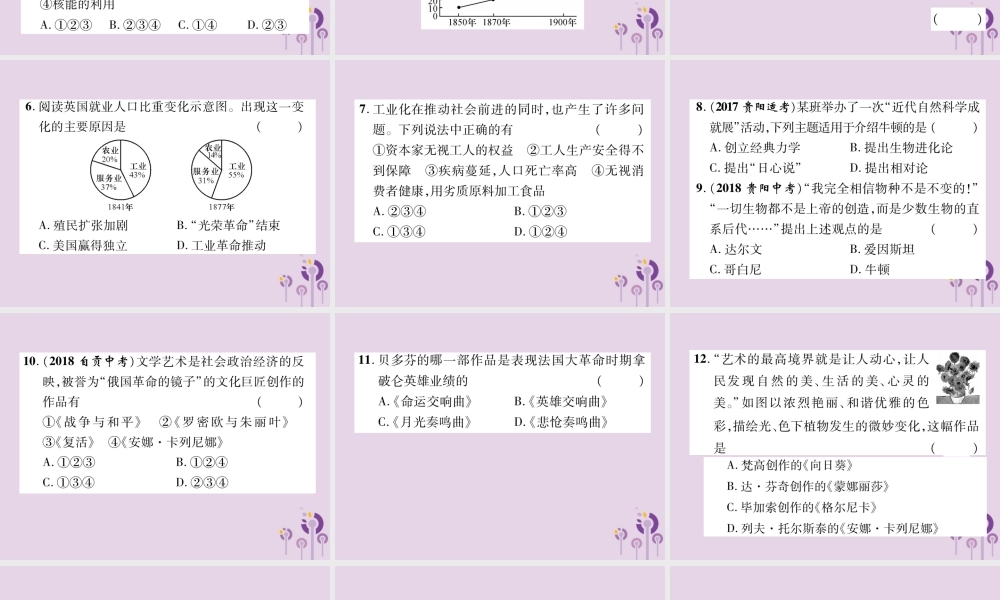 中考历史总复习 第一编 教材知识速查篇 模块三 世界近代史 第19讲 第二次工业革命和近代科学文化(精练)课件