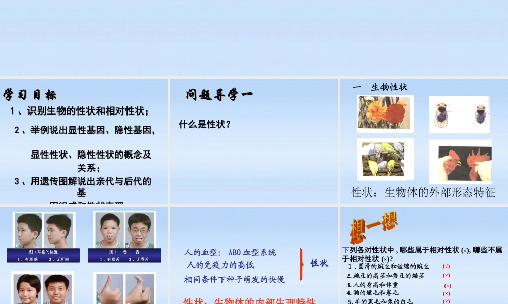 八年级生物上册 第四单元物种的延续第四章生物的遗传和变异形状的遗传课件 济南版 课件