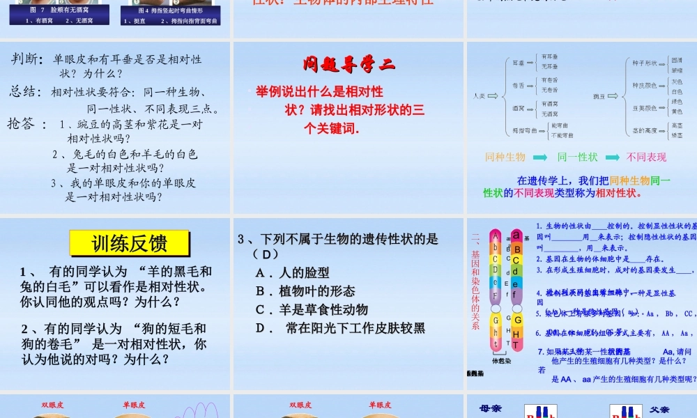 八年级生物上册 第四单元物种的延续第四章生物的遗传和变异形状的遗传课件 济南版 课件