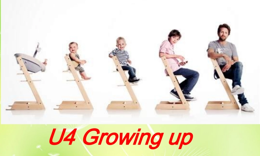 九年级英语上册 Unit 4 Growing up复习课件 (新版)牛津版 课件