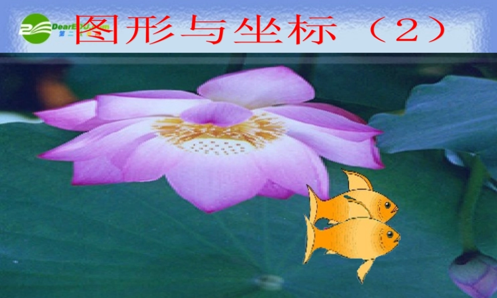 九年级数学上册 图形与坐标(2) 课件 华东师大版 课件