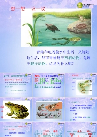 八年级生物上册 第五单元 1.5 两栖动物1 (新版)新人教版 试题