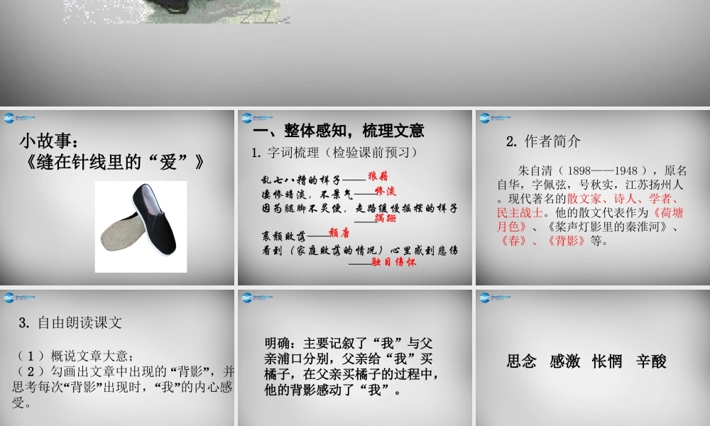 八年级语文上册(7 背影)课件1 (新版)新人教版 课件