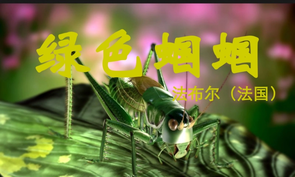 七年级语文上册(绿色蝈蝈)优秀课件(35页) 人教新课标版 课件