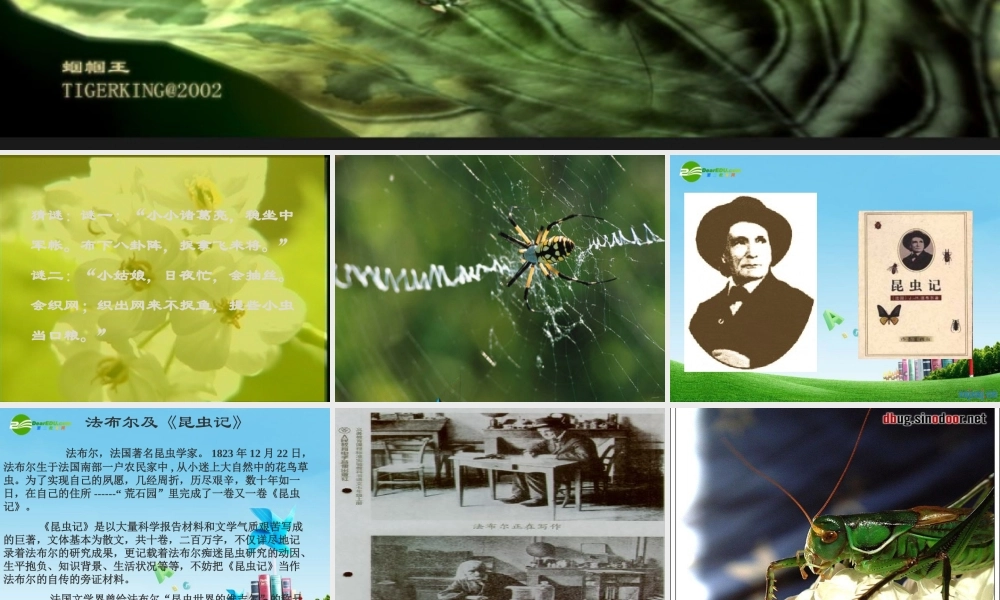 七年级语文上册(绿色蝈蝈)优秀课件(35页) 人教新课标版 课件