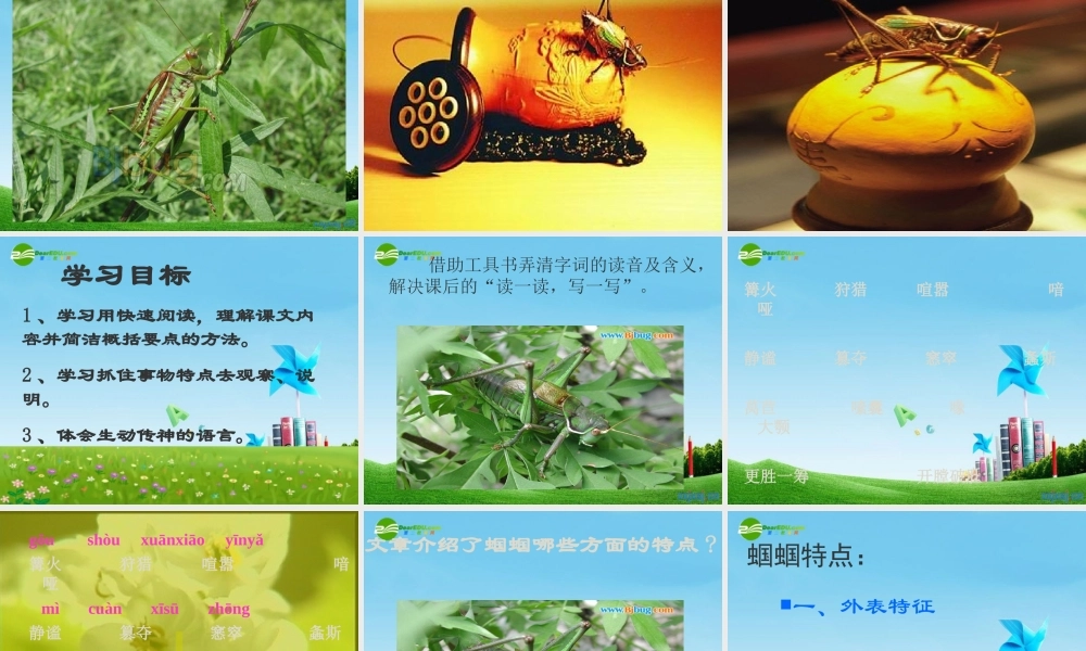 七年级语文上册(绿色蝈蝈)优秀课件(35页) 人教新课标版 课件