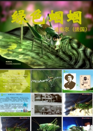 七年级语文上册(绿色蝈蝈)优秀课件(35页) 人教新课标版 课件