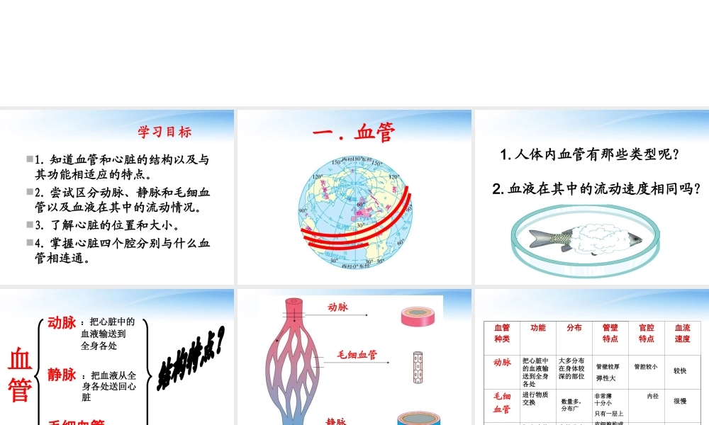 七年级生物下册 物质运输的器官课件 济南版 课件