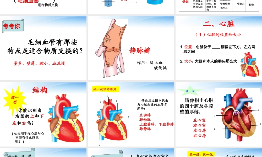 七年级生物下册 物质运输的器官课件 济南版 课件