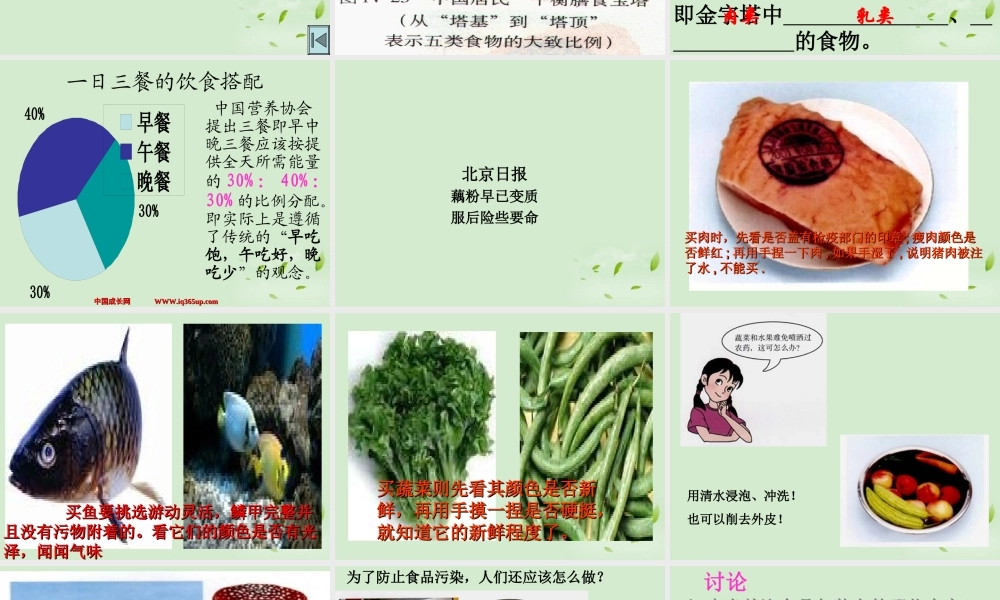 七年级生物 第三节 关注合理营养与食品安全课件 人教新课标版 课件