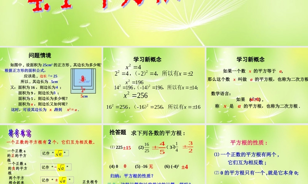 八年级数学上册 4.1 平方根课件1 (新版)苏科版 课件