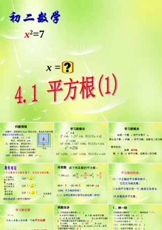 八年级数学上册 4.1 平方根课件1 (新版)苏科版 课件