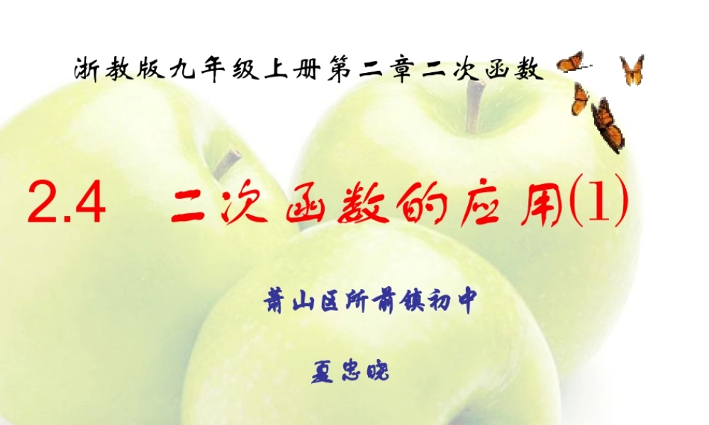 九年级数学二次函数的应用 课件 浙教版 课件
