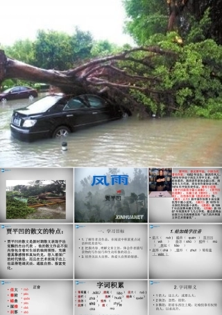 中学七年级语文上册(13 风雨)课件 (新版)新人教版 课件