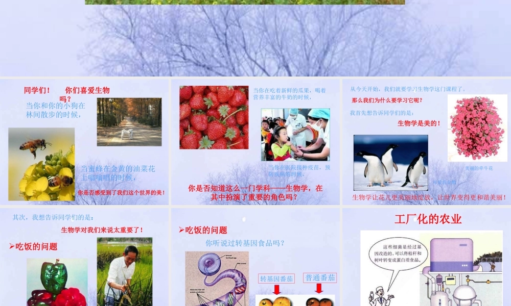 七年级生物 生物致同学们课件 人教新课标版 课件