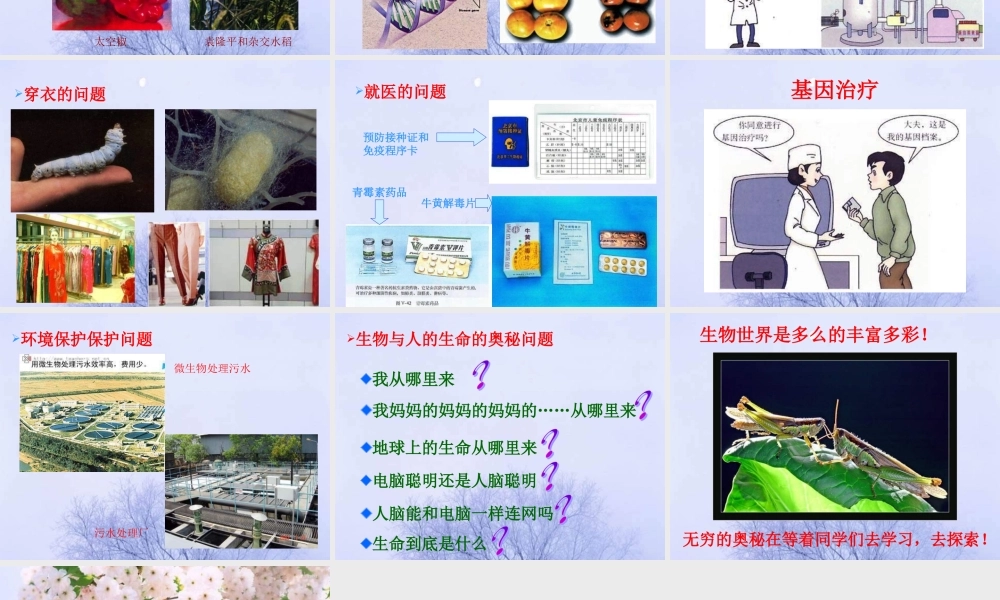 七年级生物 生物致同学们课件 人教新课标版 课件