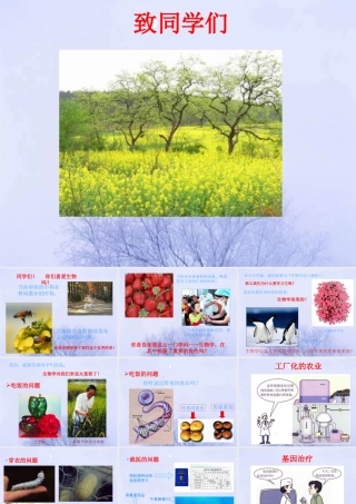 七年级生物 生物致同学们课件 人教新课标版 课件