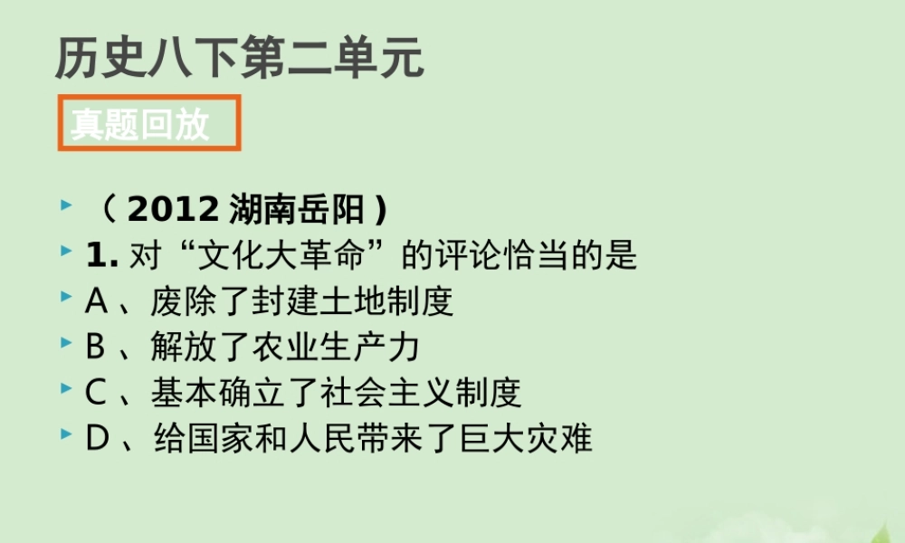 全国各地中考历史试题分册分单元精选汇编 八下 第二单元课件-2