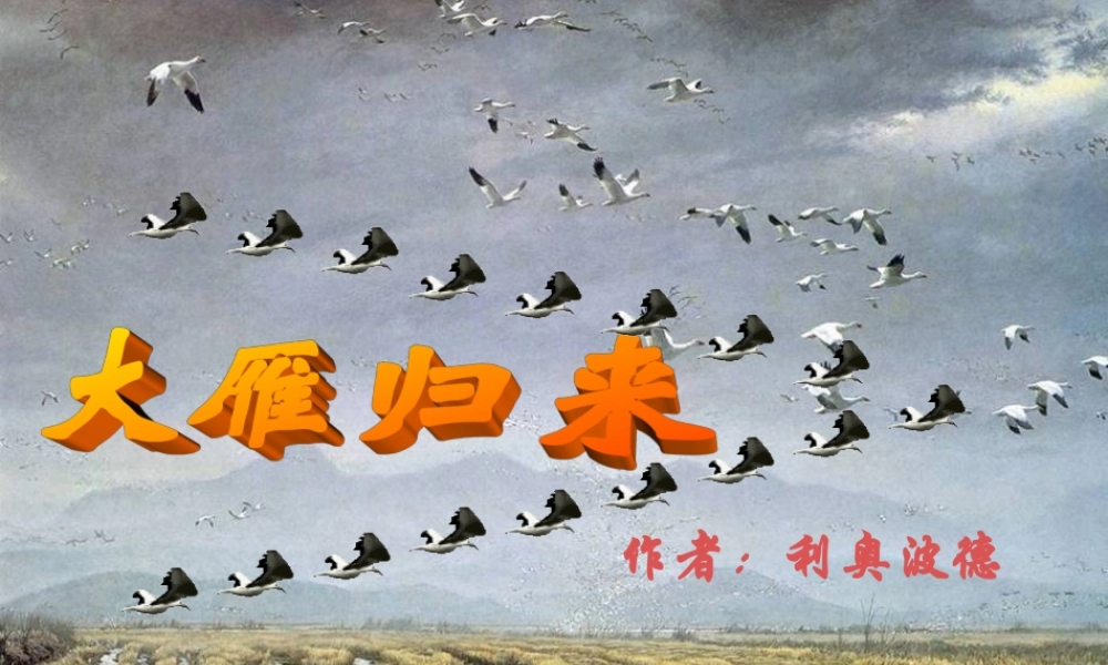 八年级语文下册 14 大雁归来课件 新人教版 学案-2