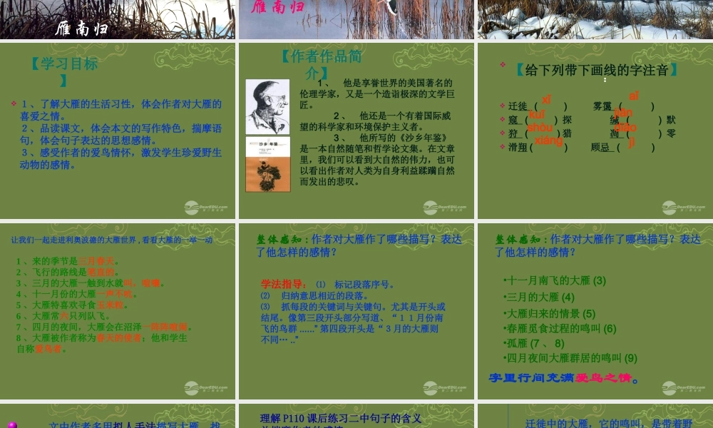 八年级语文下册 14 大雁归来课件 新人教版 学案-2