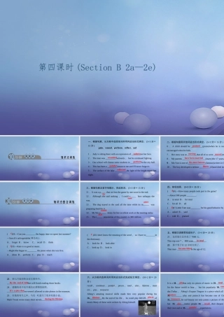 九年级英语全册 Unit 9 I like music that I can dance to(第4课时)Section B(2a 2e)习题课件 (新版)人教新目标版 课件