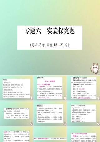 中考化学准点备考复习 第二部分 题型专题突破 专题6 实验探究题课件 新人教版 课件