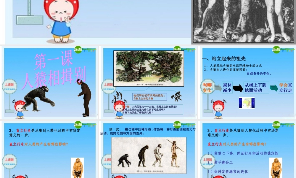 八年级历史与社会上册 第一课 人猿相揖别课件 人教新课标版 课件