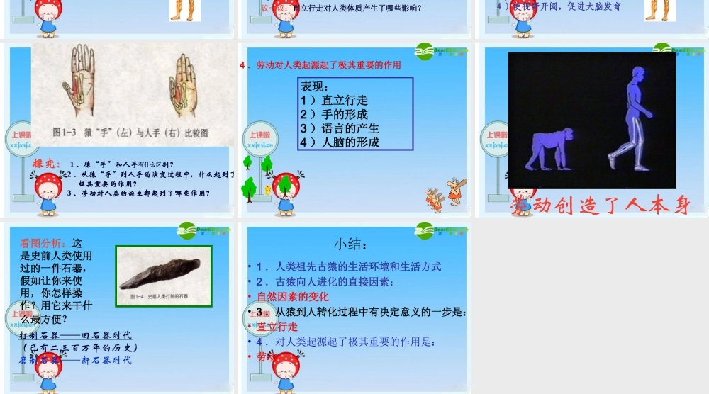 八年级历史与社会上册 第一课 人猿相揖别课件 人教新课标版 课件