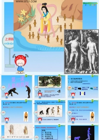 八年级历史与社会上册 第一课 人猿相揖别课件 人教新课标版 课件