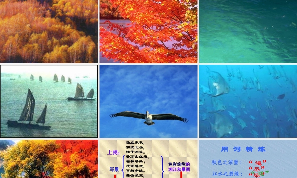 人教版沁园春毛泽东 1 课件