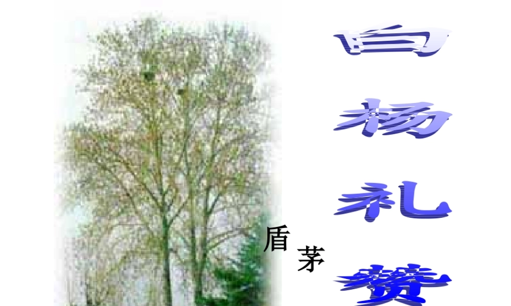 八年级语文下册 课堂教学资料第2课(白杨礼赞)课件 苏教版 课件