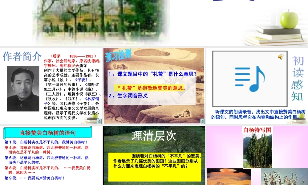 八年级语文下册 课堂教学资料第2课(白杨礼赞)课件 苏教版 课件