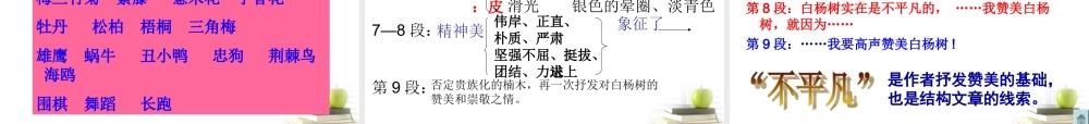八年级语文下册 课堂教学资料第2课(白杨礼赞)课件 苏教版 课件