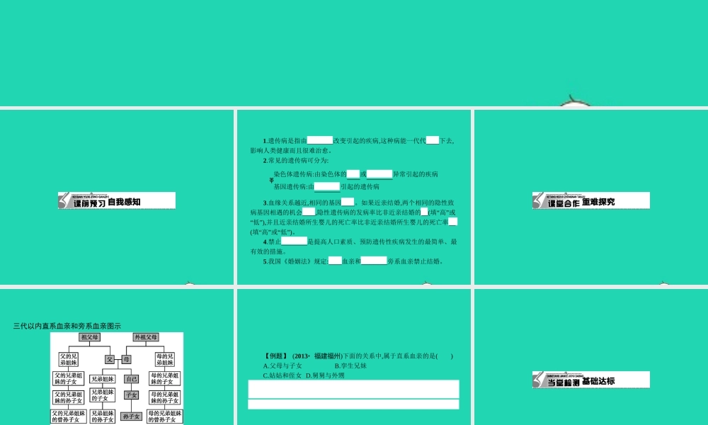 八年级生物下册 6.2.3 遗传病与优生课件 (新版)冀教版 课件