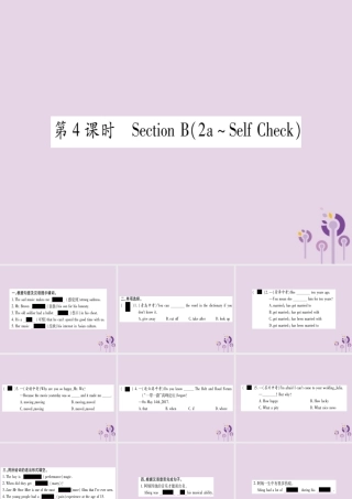 九年级英语全册 Unit 9 I like music that I can dance to(第4课时)作业课件 (新版)人教新目标版 课件