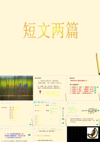 八年级语文上册 第2课(短文两篇)课件 鄂教版  课件