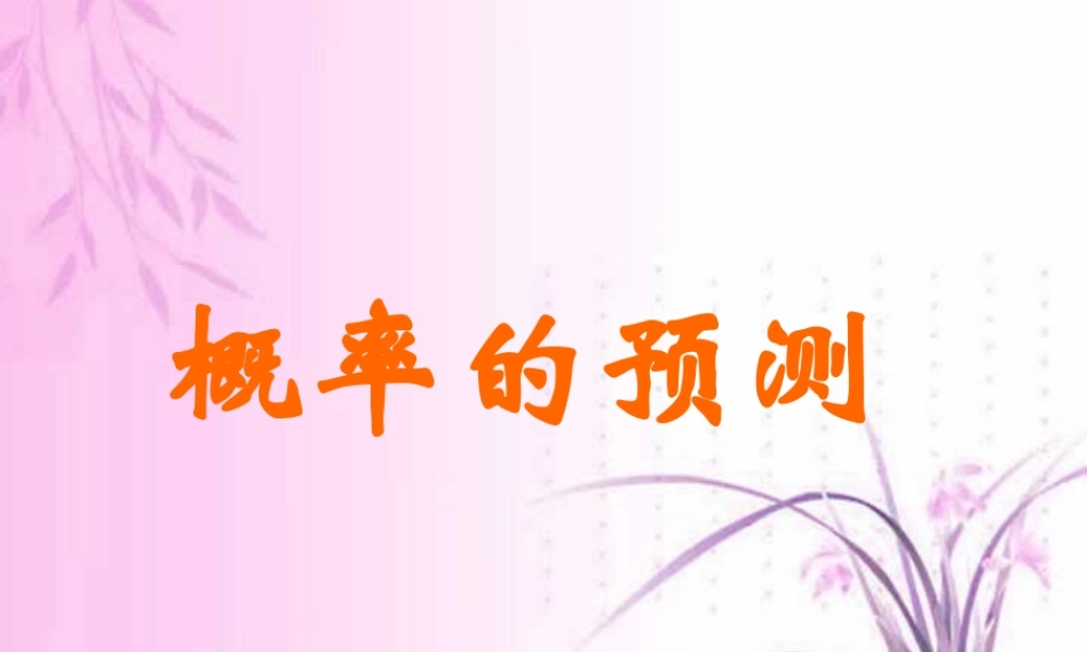 新课标中考数学复习课件 概率预测 课件