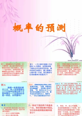 新课标中考数学复习课件 概率预测 课件