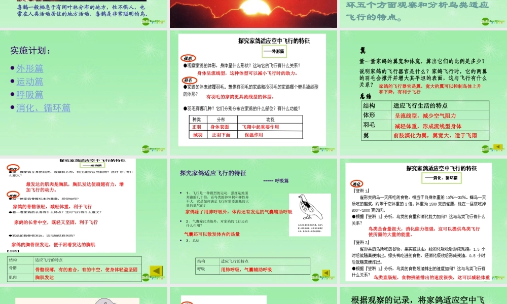 七年级生物 第11章 空中的动物 第一节鸟类课件 苏科版 课件