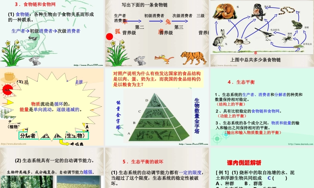 初三总复习第4课 生态系统 浙教版 试题