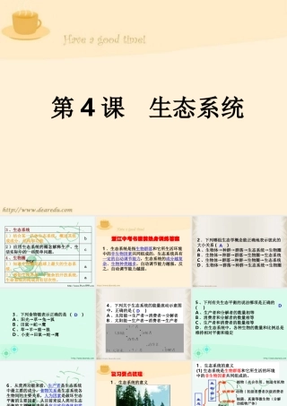 初三总复习第4课 生态系统 浙教版 试题