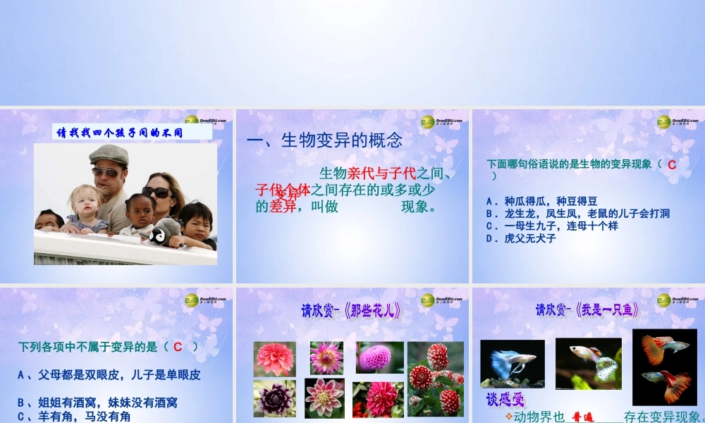 八年级生物上册 生物的变异课件 苏教版 课件