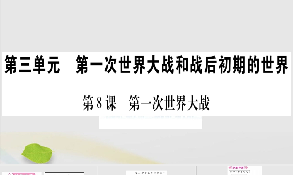 九年级历史下册 第三单元 第一次世界大战和战后初期的世界 第8课 第一次世界大战习题课件 新人教版 课件