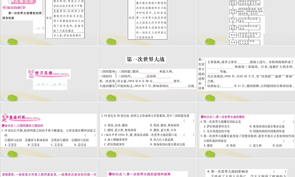 九年级历史下册 第三单元 第一次世界大战和战后初期的世界 第8课 第一次世界大战习题课件 新人教版 课件