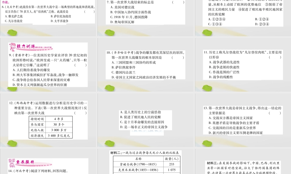九年级历史下册 第三单元 第一次世界大战和战后初期的世界 第8课 第一次世界大战习题课件 新人教版 课件