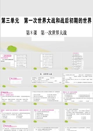 九年级历史下册 第三单元 第一次世界大战和战后初期的世界 第8课 第一次世界大战习题课件 新人教版 课件
