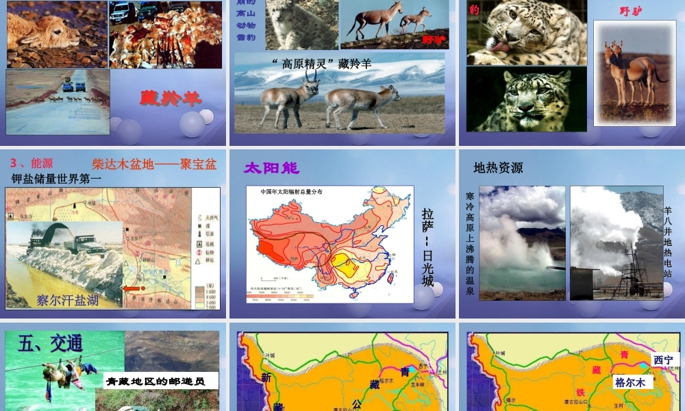 八年级地理下册 第九章 第一节 自然特征与农业课件 (新版)新人教版 课件