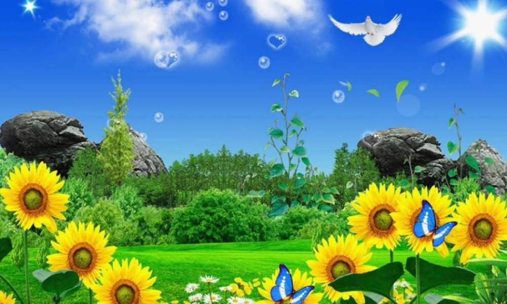 七年级语文下册(大自然的启示)课件 鄂教版 课件